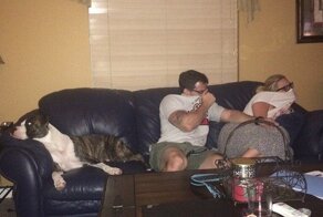 16 лохматых вредителей, от которых рука сама тянется за успокоительным