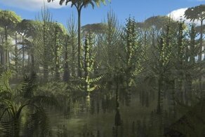 Как выглядели леса в период карбона, который подарил нам каменный уголь