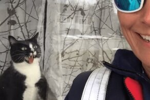 Работница почтового отделения засняла кота, который отчаянно защищает свой дом
