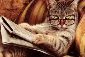 Секреты дрессировки