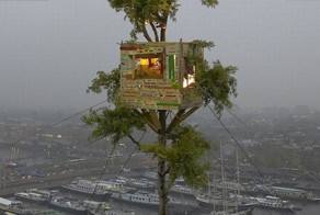 Домики на деревьях (21 фото)