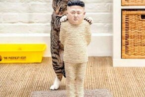 11 идей как сделать когтеточку для кошки своими руками