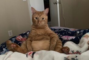 С добрым утром!