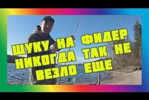 Щука на фидер? неожиданно