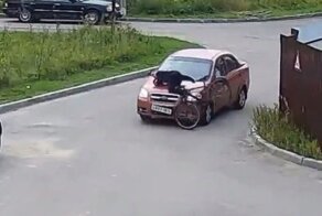 Под Ярославлем молодой велосипедист оказался на капоте автомобиля