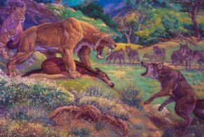 Ужасный волк: Древние огромные волки, какие они были?