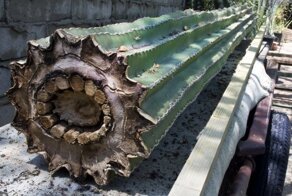 15 увлекательных фотофактов, которые рассказывают обо всем на свете