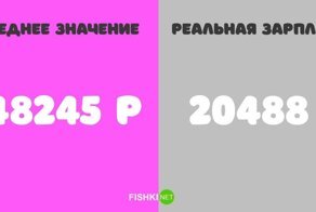 Сравниваем средние зарплаты с реальными
