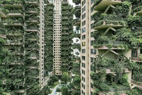 Новый жилой комплекс в Китае зарос зеленью и оккупирован комарами