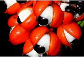 17 модных продуктов, за которые платят бешеные деньги, но даже не знают как они растут