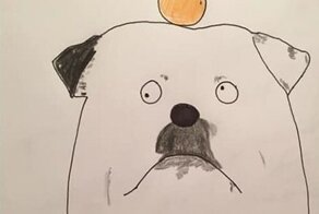 Парень рисует "уродливые" и забавные портреты животных ради доброго дела