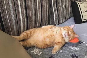 С добрым утром!