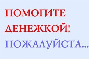 Депутат Горсовета из Новосибирска попросила подписчиков "скинуться" ей на подарок ко дню рождения