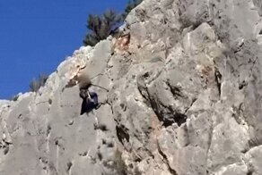 Гифки разные