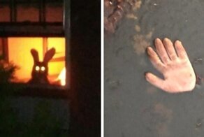 Фотографии безобидных вещей и живых существ, способные напугать