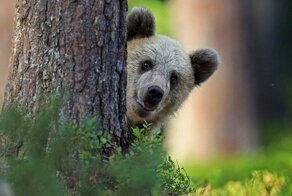 С добрым утром!