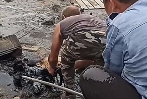 Спасение пса, угодившего в мазутную яму
