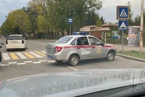 Автомобиль Росгвардии сбил женщину на пешеходном переходе