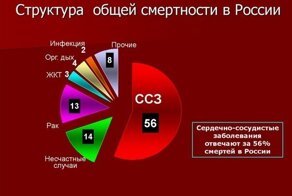 Сиди дома спаси старушку