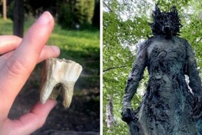 Таинственные и любопытные находки сделанные в лесу