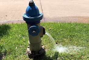 В техасском водопроводе обнаружили амебу, пожирающую мозг