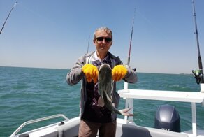 Моя коллекция рыбешек