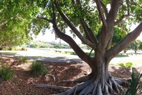 Австралийские пейзажи и просто красивые места