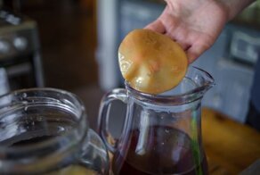 8 полезных свойств чайного гриба