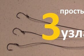 Как привязать крючок? 3 самых простых узла для рыбалки
