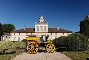 Новости автоаукционов: Коллекция Французского винодела