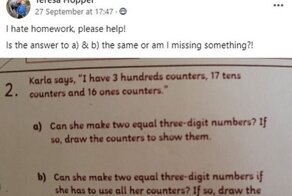 Мать второклассника попросила решить задачу - в Сети удивились уровню ее сложности