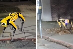 Робопёс Boston Dynamics блуждает по улицам Онтарио и пугает интернет