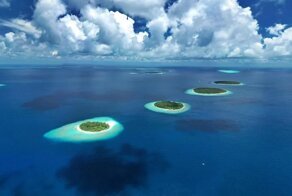 Случаи, когда увиденное поставило в тупик