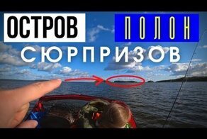 ВОТ это поворот В РЫБАЛКЕ! Весь остров усеян СЮРПРИЗАМИ ?