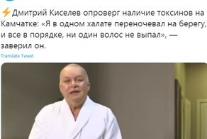 "У осьминогов просто упал сахар": жесткая реакция соцсетей на камчатскую трагедию