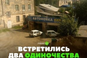 Подборка автомобильных приколов