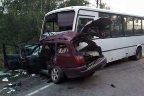 Авария дня. В Брянской области многодетная мать погибла в ДТП