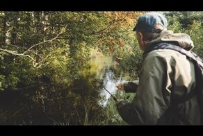 Болотный Микроручей Наполненный ОКУНЕМ. Чёрные Окуни В Ямах