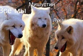 Мемы и фотожабы про Лукашенко, которые будут понятны всем