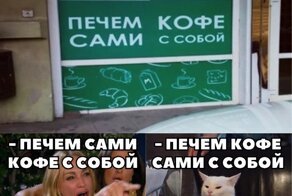 Смешные мемы с котом, который всё опровергает