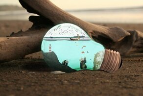 Интересные факты о мире вокруг нас