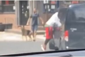 Неожиданная реакция темнокожего драчуна на незнакомца с собакой