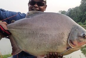 Самые ужасающие твари Амазонки