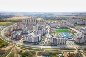 На кого рычат драконы Нового города