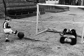 WTF в черно-белом. Часть 9. (49 фото)