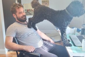 15 хулиганистых питомцев, которые ничего не знают о хороших манерах