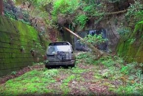 Печальное зрелище: брошенный в лесу Land Cruiser весь порос мхом