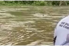 Рыбаки увидели в воде неожиданного "автостопщика"