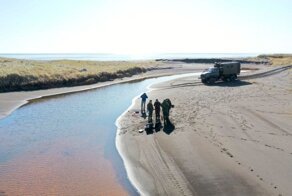 "Ради денег!": в РАН раскритиковали доклад Greenpeace по Камчатке