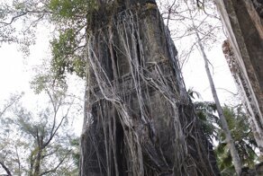 Жуткая история острова Росс